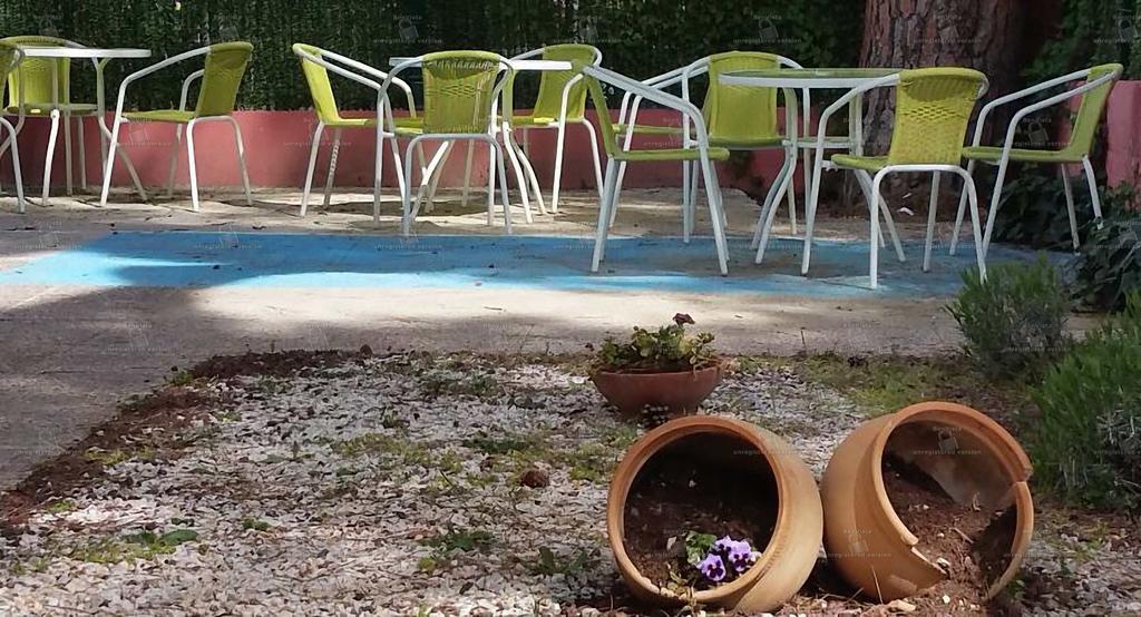 Hostal Aravaca Garden Мадрид Екстериор снимка